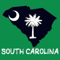 Cool South Carolina State Kids Hoodie