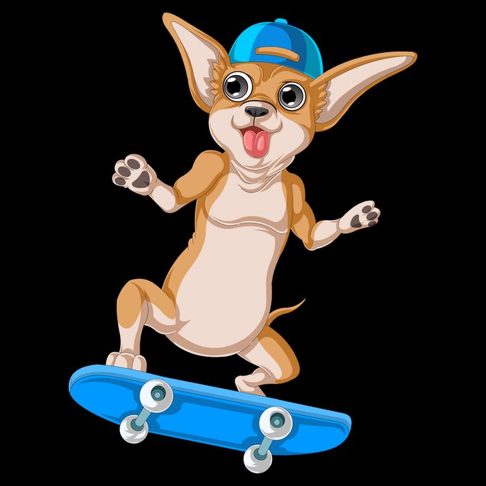 Chihuahua Skateboarding Flatbill Hat
