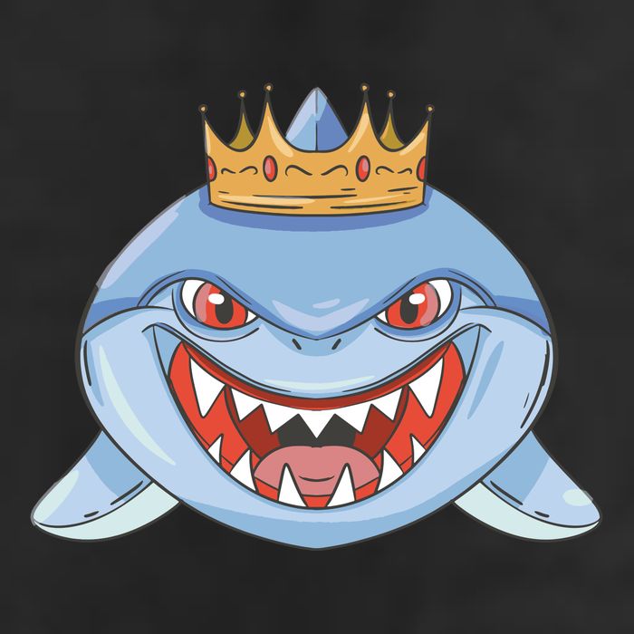 Cartoon Shark Crown Garment-Dyed Heavyweight T-Shirt