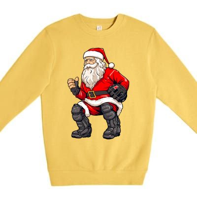 Christmas Santa Claus Dunking A Baseball Funny Xmas Cute Gift Premium Crewneck Sweatshirt