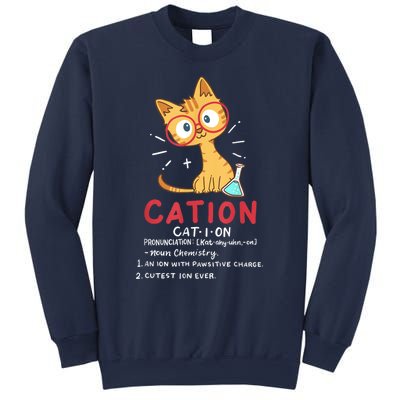 Cation Science Cat Funny Chemistry Chemist Science Teacher Sweatshirt