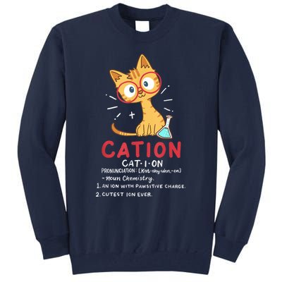 Cation Science Cat Funny Chemistry Chemist Science Teacher Tall Sweatshirt