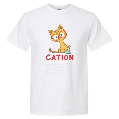 Cation Science Cat Funny Chemistry Chemist Science Teacher Garment-Dyed Heavyweight T-Shirt