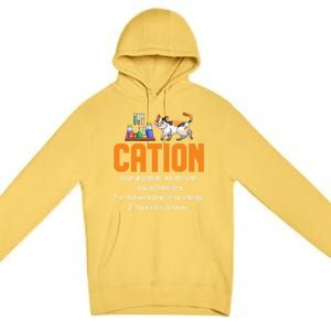 Cation Science Cat Definition Chemistry Student Teacher Meaningful Gift Premium Pullover Hoodie