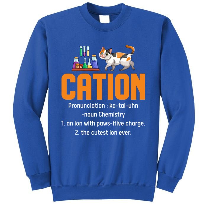 Cation Science Cat Definition Chemistry Student Teacher Meaningful Gift Sweatshirt