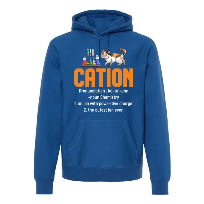 Cation Science Cat Definition Chemistry Student Teacher Meaningful Gift Premium Hoodie