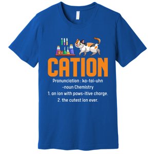 Cation Science Cat Definition Chemistry Student Teacher Meaningful Gift Premium T-Shirt