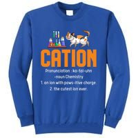 Cation Science Cat Definition Chemistry Student Teacher Meaningful Gift Tall Sweatshirt