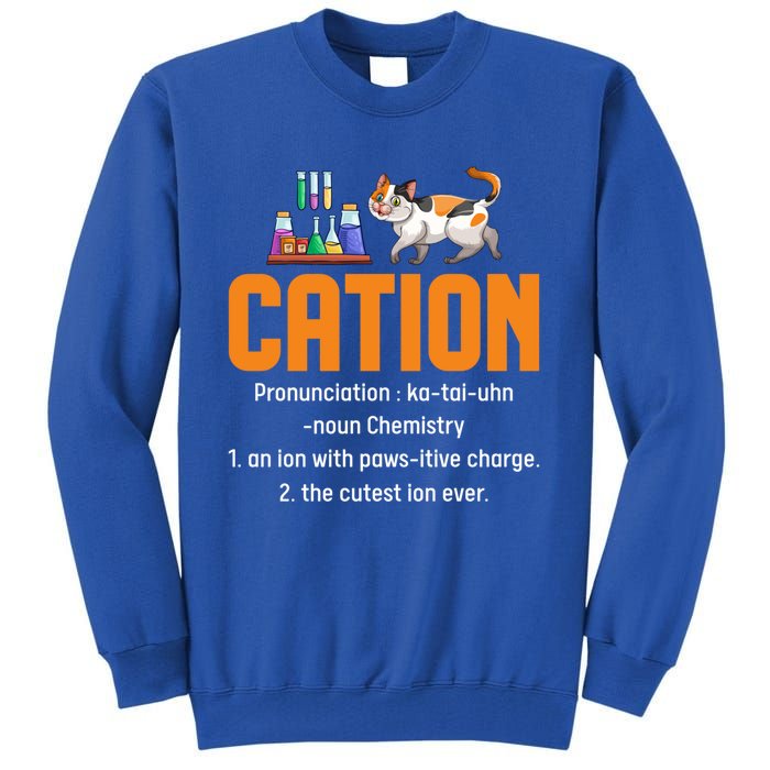 Cation Science Cat Definition Chemistry Student Teacher Meaningful Gift Tall Sweatshirt