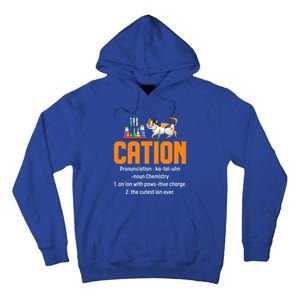 Cation Science Cat Definition Chemistry Student Teacher Meaningful Gift Tall Hoodie