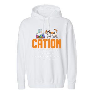 Cation Science Cat Definition Chemistry Student Teacher Meaningful Gift Garment-Dyed Fleece Hoodie