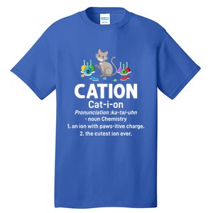 Cation Science Cat Definition Chemistry Student Teacher Gift Tall T-Shirt