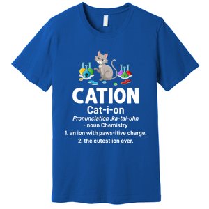 Cation Science Cat Definition Chemistry Student Teacher Gift Premium T-Shirt