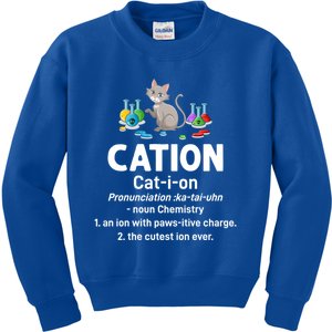 Cation Science Cat Definition Chemistry Student Teacher Gift Kids Sweatshirt