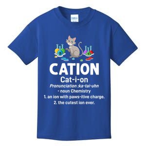 Cation Science Cat Definition Chemistry Student Teacher Gift Kids T-Shirt