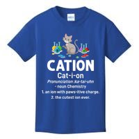 Cation Science Cat Definition Chemistry Student Teacher Gift Kids T-Shirt