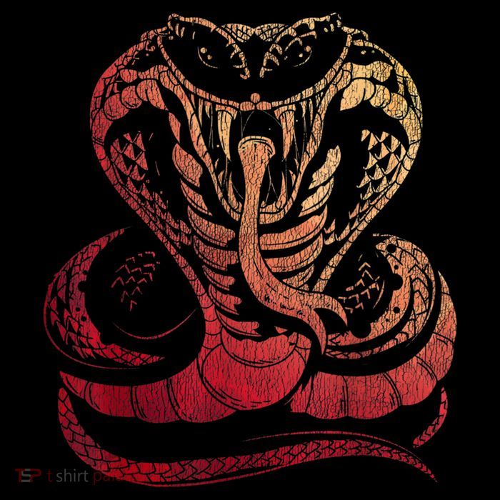Cobra Snake 16 in Basic Backpack
