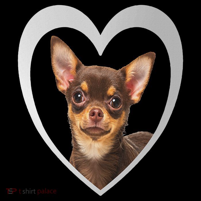 Chihuahua S Chihuahua Dog Chihuahua Flat Bill Trucker Hat