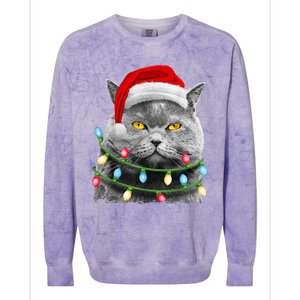 Cat Santa Christmas Tree Lights Xmas Girls Boy Meowy Catmas Colorblast Crewneck Sweatshirt