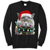 Cat Santa Christmas Tree Lights Xmas Girls Boy Meowy Catmas Sweatshirt