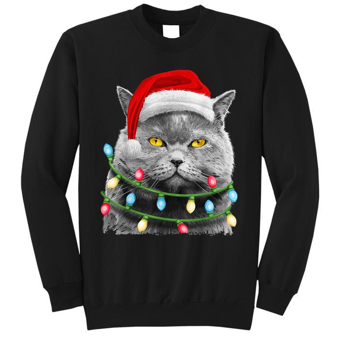 Cat Santa Christmas Tree Lights Xmas Girls Boy Meowy Catmas Sweatshirt