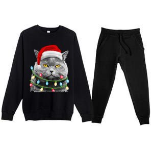 Cat Santa Christmas Tree Lights Xmas Girls Boy Meowy Catmas Premium Crewneck Sweatsuit Set