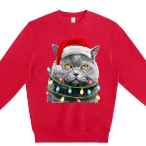 Cat Santa Christmas Tree Lights Xmas Girls Boy Meowy Catmas Premium Crewneck Sweatshirt