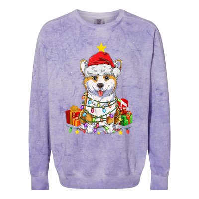 Corgi Santa Christmas Tree Lights Xmas Corgmas Dog Colorblast Crewneck Sweatshirt