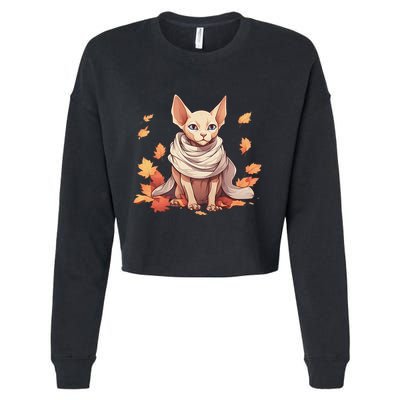Cute Sphynx Cat Autumn Hairless Adorable Sphynx Cat Lover Cropped Pullover Crew