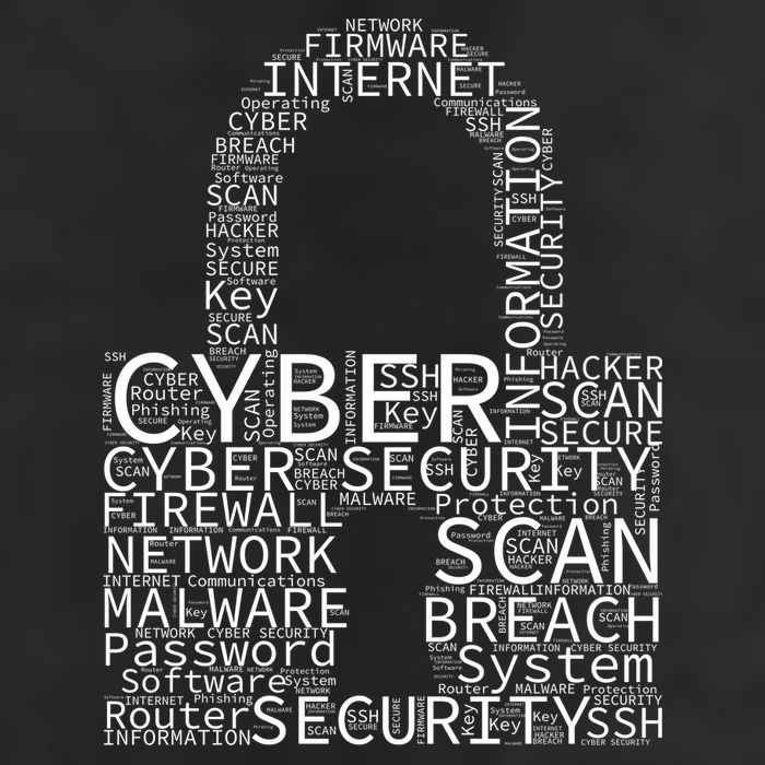 Cyber Security Crop Fleece Hoodie