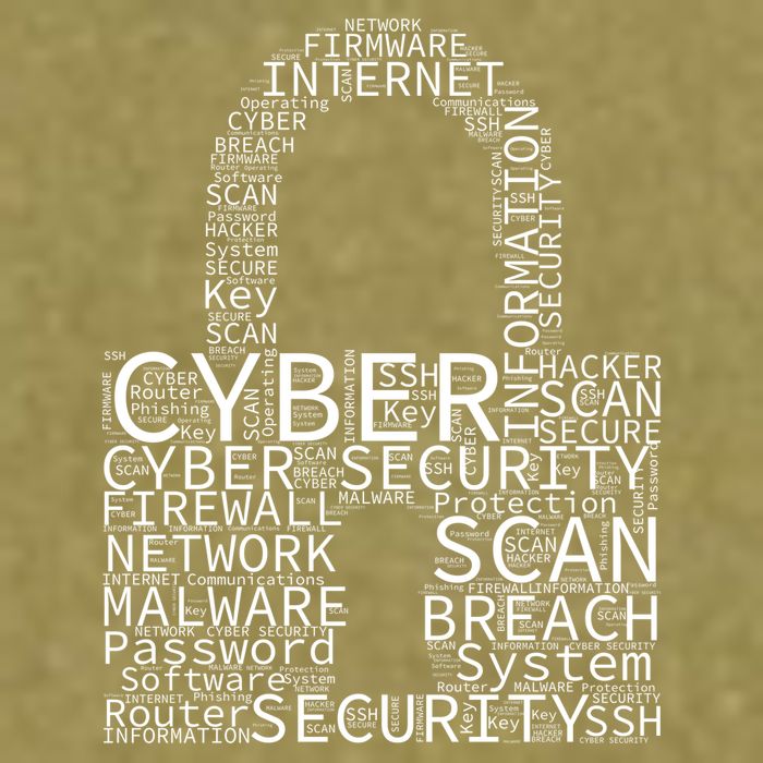 Cyber Security Garment-Dyed Women's Muscle Tee