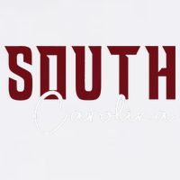 Classic South Carolina Souvenir Toddler Fine Jersey T-Shirt
