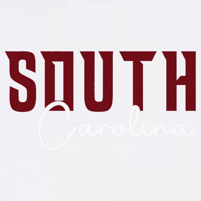 Classic South Carolina Souvenir Toddler Fine Jersey T-Shirt