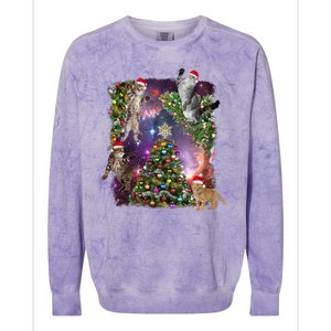 Christmas Space Cats Colorblast Crewneck Sweatshirt