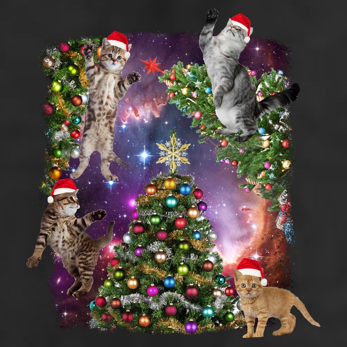 Christmas Space Cats Beanie