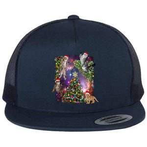 Christmas Space Cats Flat Bill Trucker Hat