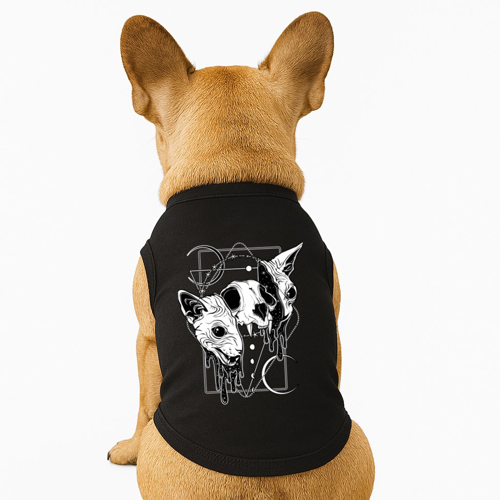 Cosmic Sphynx Doggie Tank