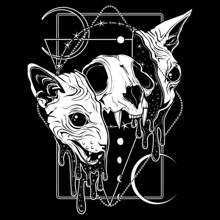 Cosmic Sphynx T-Shirt