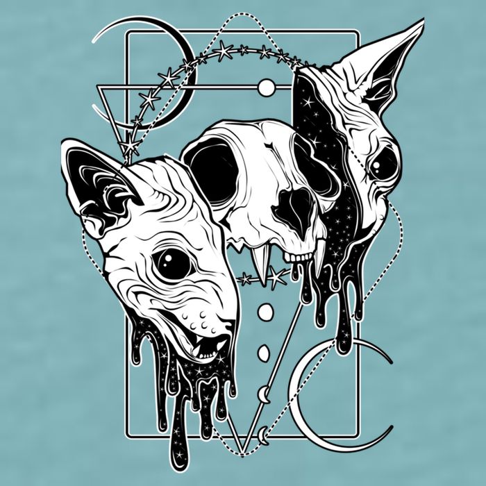 Cosmic Sphynx Sueded Cloud Jersey T-Shirt