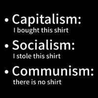 Capitalism Socialism Communism Libertarian Economics Freedom Poster