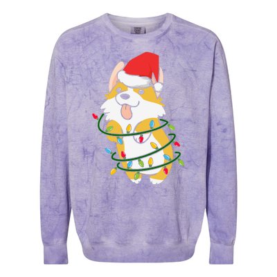 Corgi Santa Christmas Tree Lights Xmas Boys Corgmas Dog Colorblast Crewneck Sweatshirt