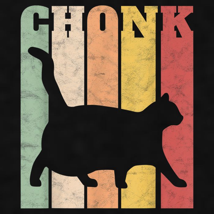 Chonk Scale Cat Meme Chonky Chonk Memes Ladies PosiCharge Tri-Blend Wicking Tank