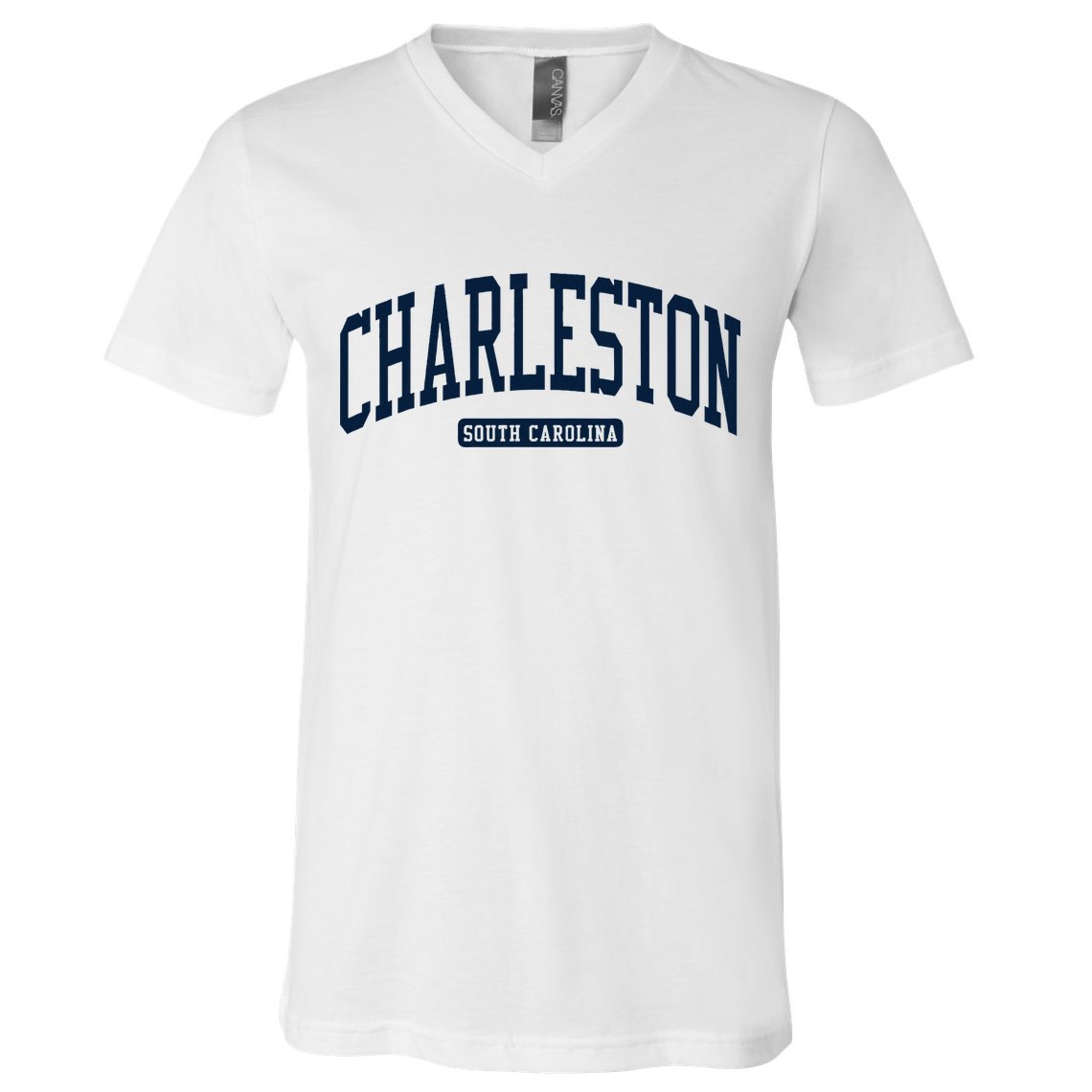 Charleston South Carolina Sc College University Style V-Neck T-Shirt