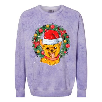 Christmas Santa Dog Backprint Design Xmas Pyjamas Chihuahua Gift Colorblast Crewneck Sweatshirt