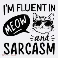 Cat Sarcasm Design For A Cat Lady Or Cat Person High Crown Mesh Back Trucker Hat