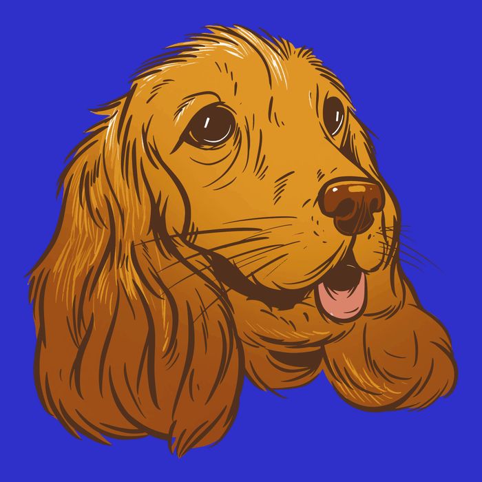 Cocker Spaniel Dog Bag