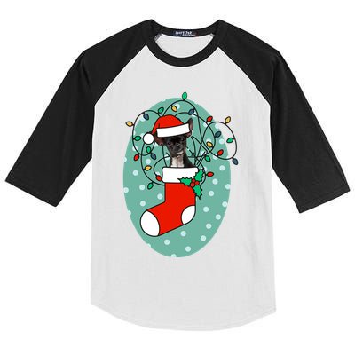 Christmas Stocking Dog Chihuahua Gift Kids Colorblock Raglan Jersey