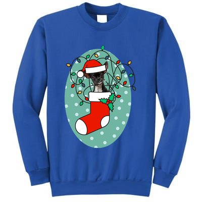 Christmas Stocking Dog Chihuahua Gift Sweatshirt