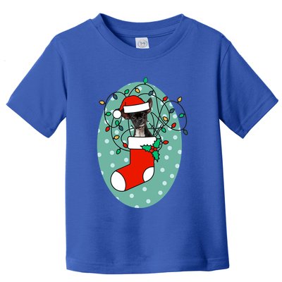 Christmas Stocking Dog Chihuahua Gift Toddler T-Shirt