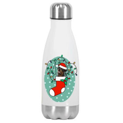 Christmas Stocking Dog Rottweiler Gift Stainless Steel Insulated Water Bottle